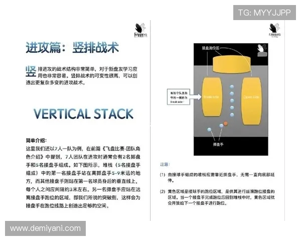飞盘战术全解析从基础到进阶的全面攻略与实战技巧分享