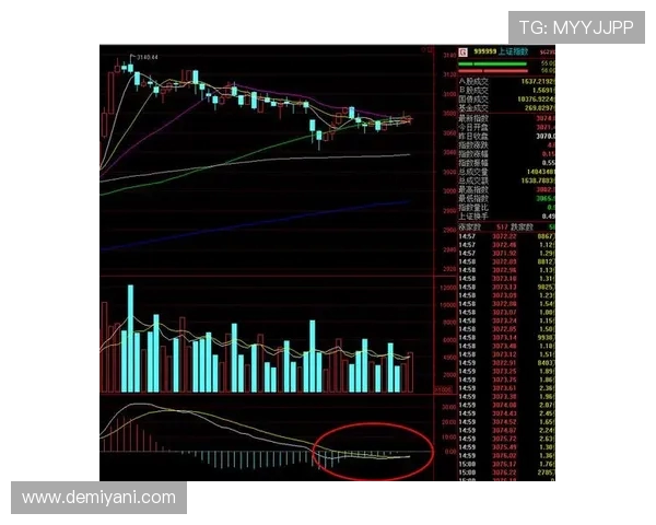 南京排球队与杭州排球队赛后复盘分析比赛节奏与战术对比
